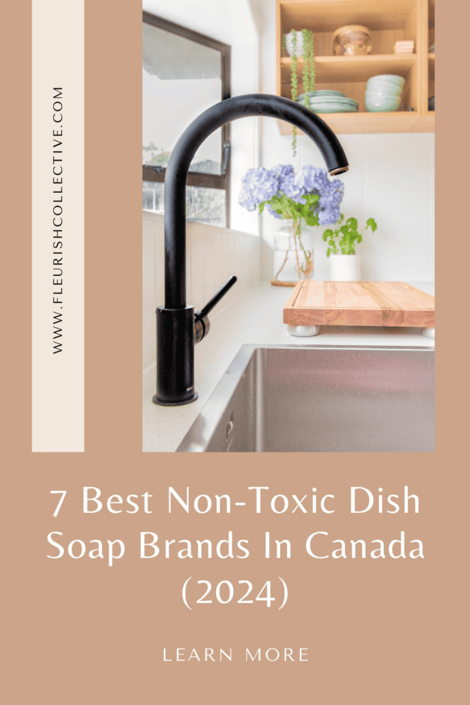 clean dish soap brands in canada