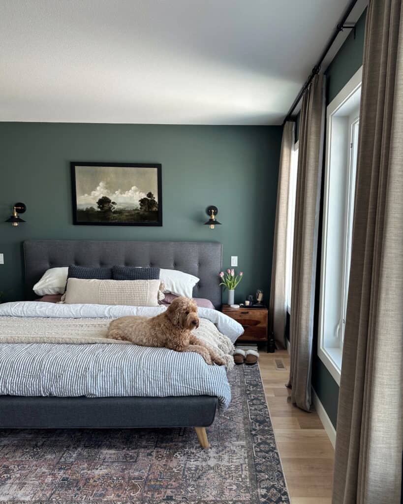 modern organic bedroom