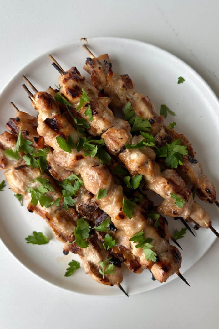 Easy Honey Garlic Grilled Chicken Skewers (Simple Summer Marinade)
