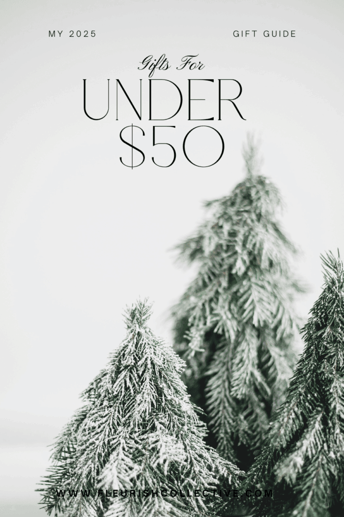 20 Amazing Secret Santa Gifts Under $50 in Canada for Her & Him